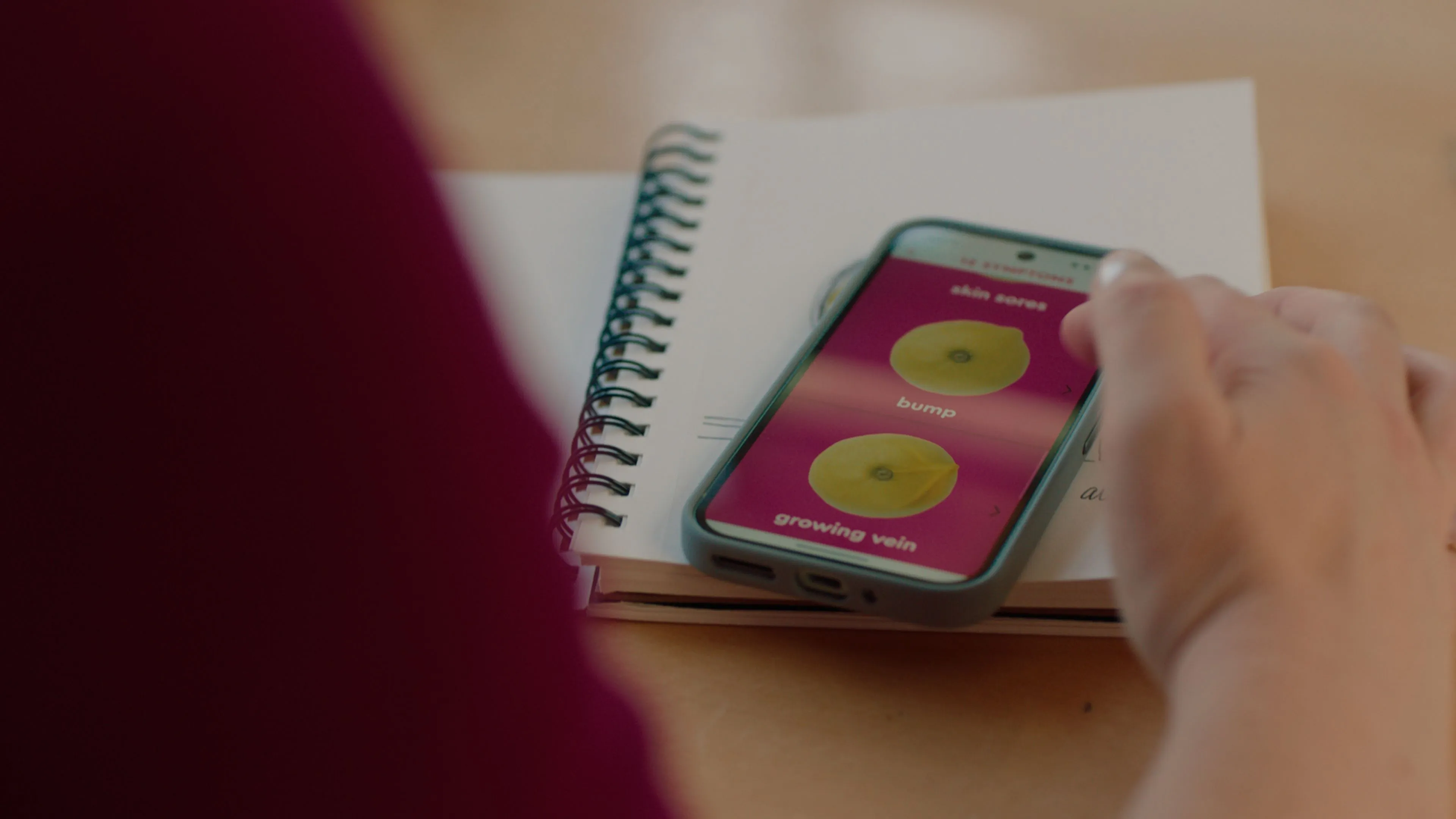 IMAGE 1 - 11_US_KNOW YOUR LEMONS_APP.jpg