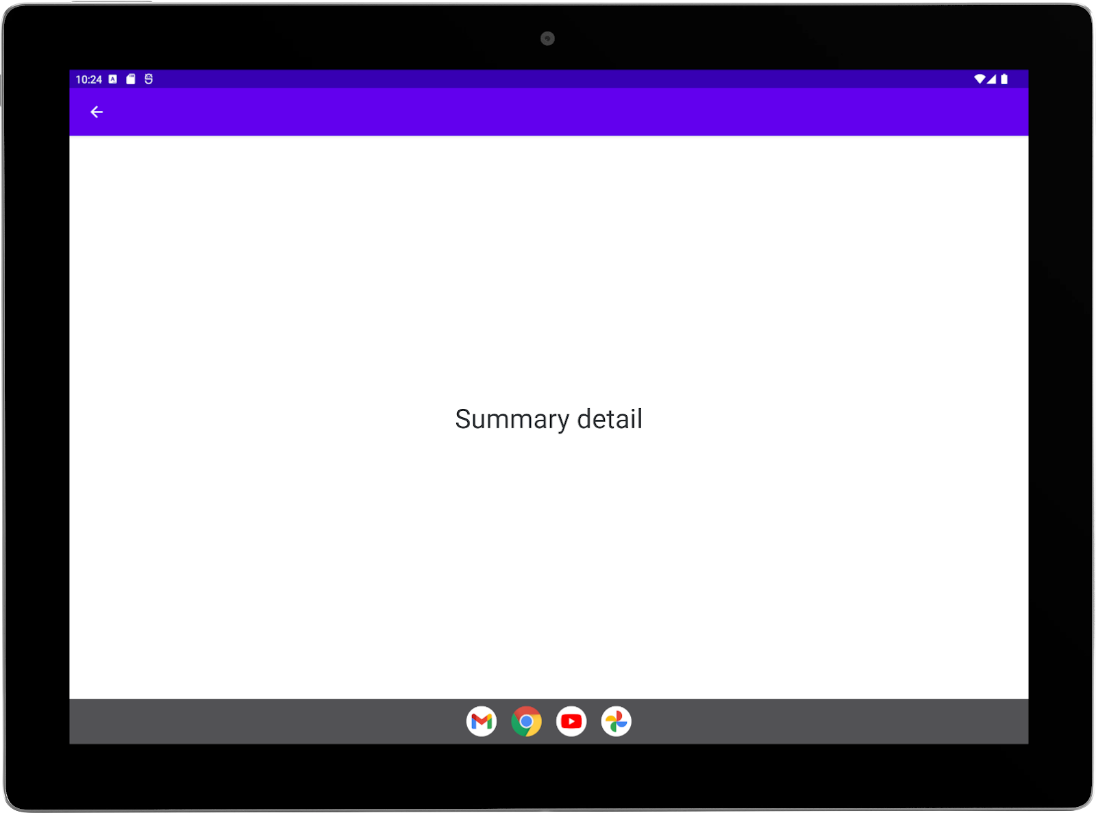 Large tablet with sample app running in landscape orientation. Summary activity full screen.