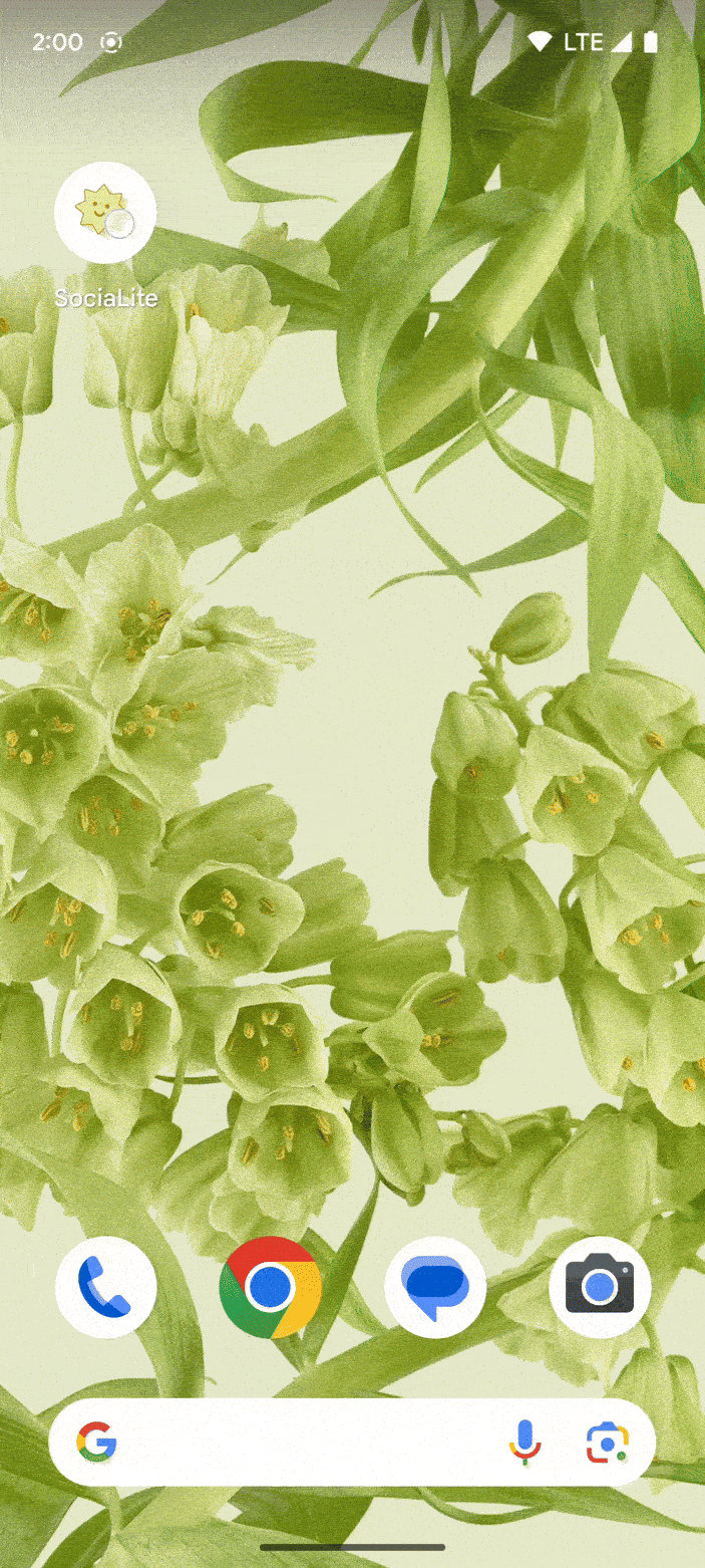 La app de SocialLite sin las animaciones de volver a la pantalla principal.