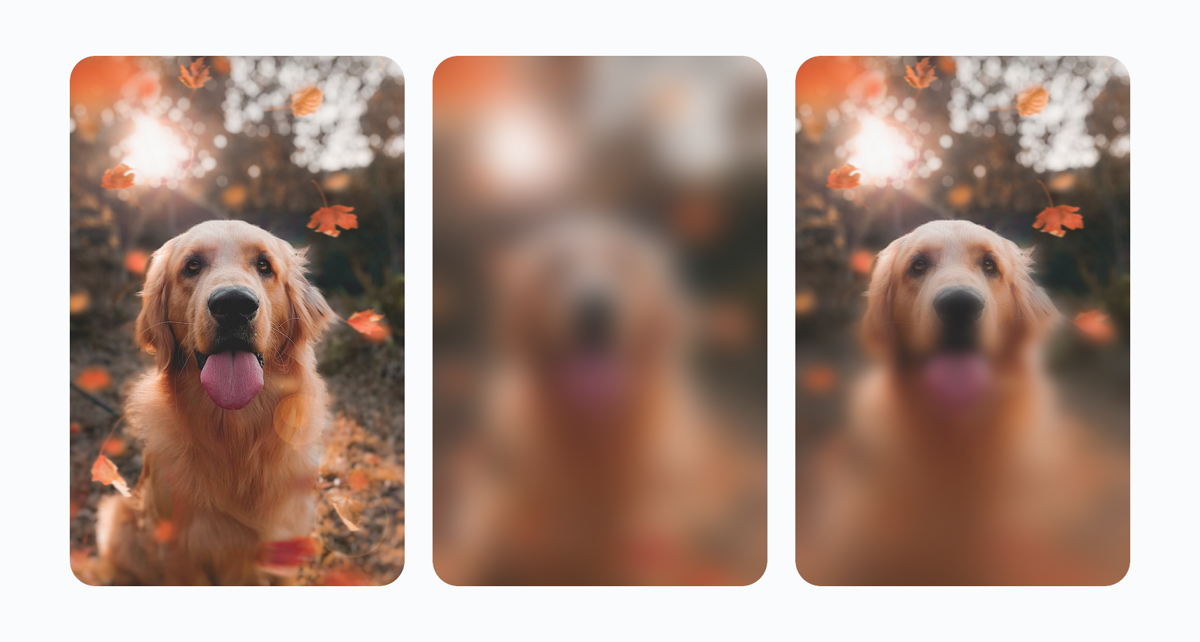 Left: the original image. Center: the image with a uniform blur applied across the whole surface. Right: the image with a progressive blur that is sharp at the top and increases toward the bottom.