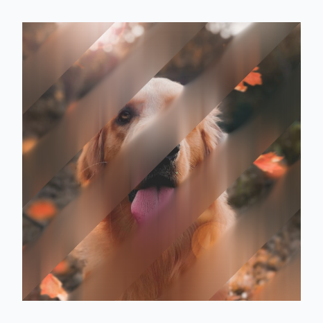 A dog image with diagonal frosted-glass blur bands driven by a custom shader mask.