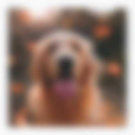 A blurred dog image whose edges fade out softly beyond the original bounds.