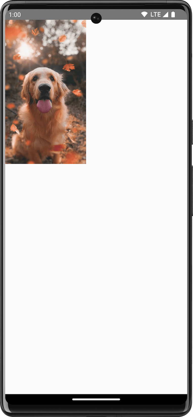 تصویر سگی که روی بوم نقاشی کشیده شده است