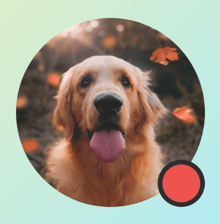 Modifier.drawWithContent روی تصویری که نشانگر دایره است، با BlendMode.Clear و بدون تنظیم CompositingStrategy