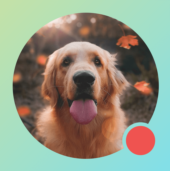 Modifier.drawWithContent روی تصویری که نشانگر دایره است، با BlendMode.Clear درون برنامه