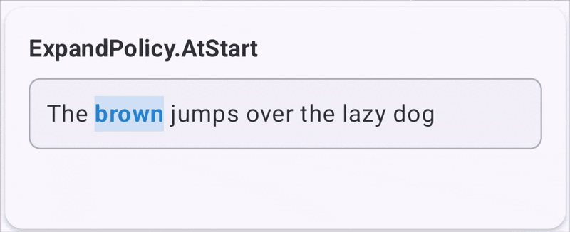 Animation showing text typed at the start of an ExpandPolicy.AtStart range inheriting the style while text typed at the end remains unstyled.