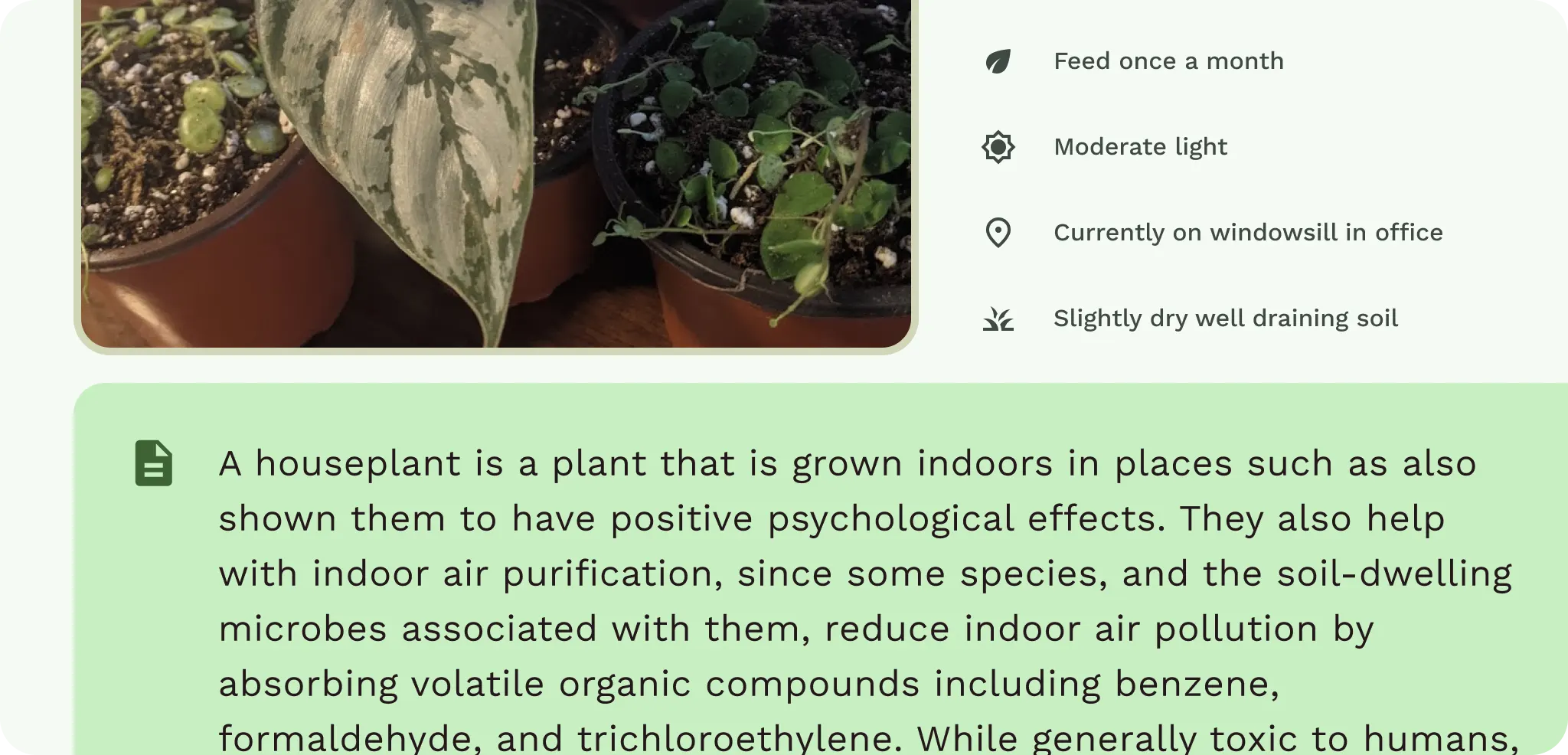 レイアウト テキストの密度。