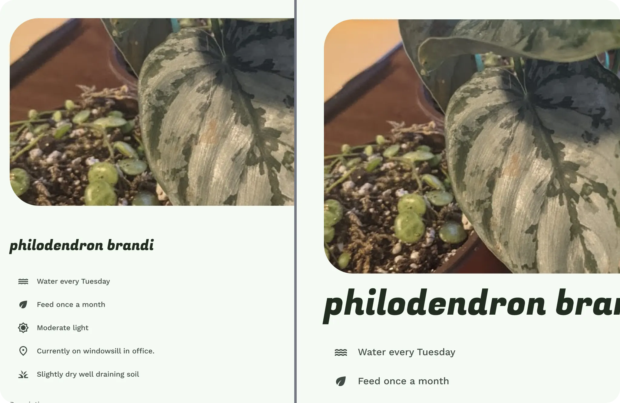 تغيير حجم عناصر واجهة المستخدم والنص على الشاشات الكبيرة