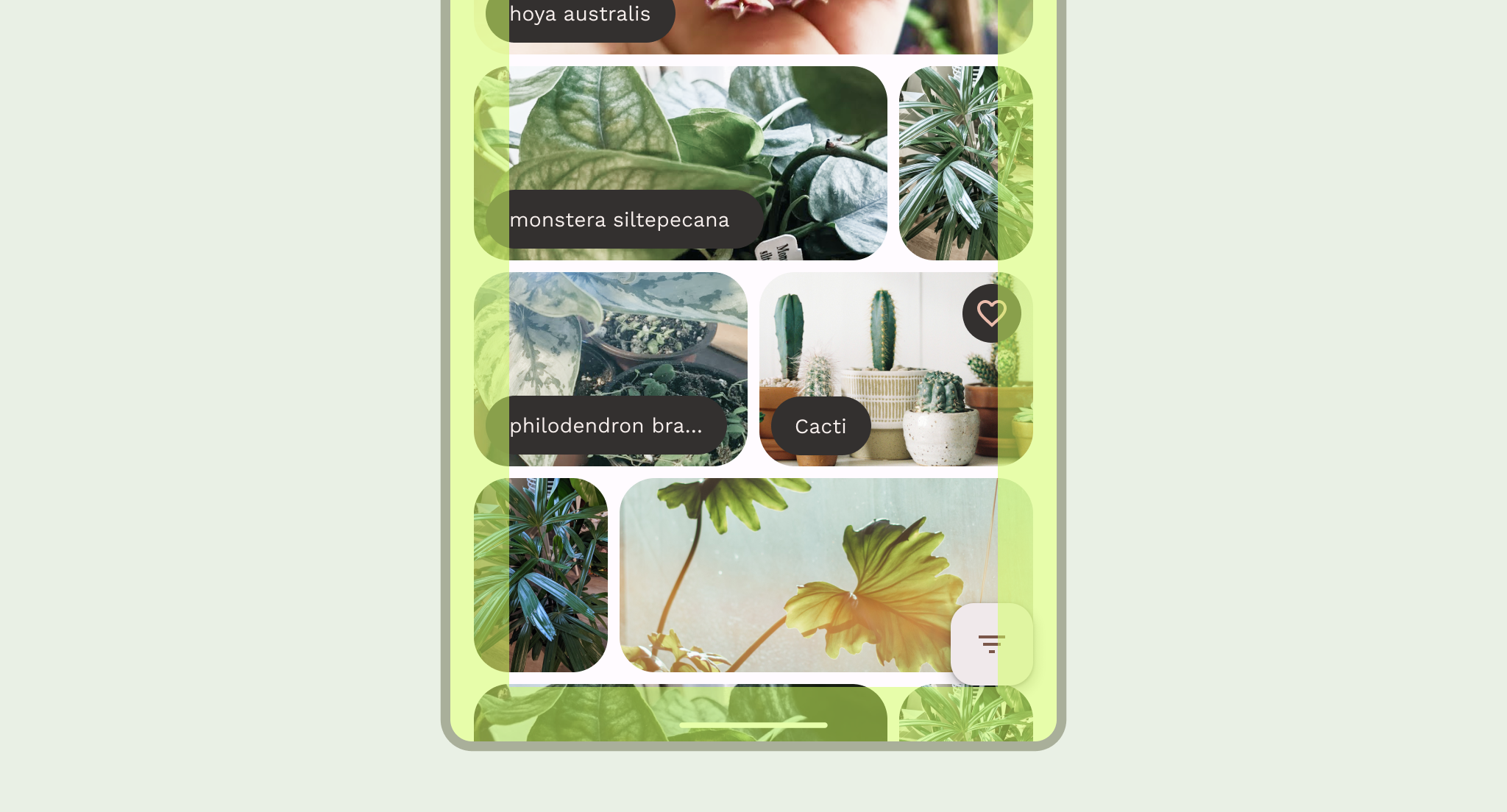 앱의 본문 영역에 앱 콘텐츠가 포함되어 있음