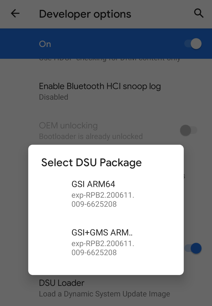 DSU loader interface for selecting a GSI