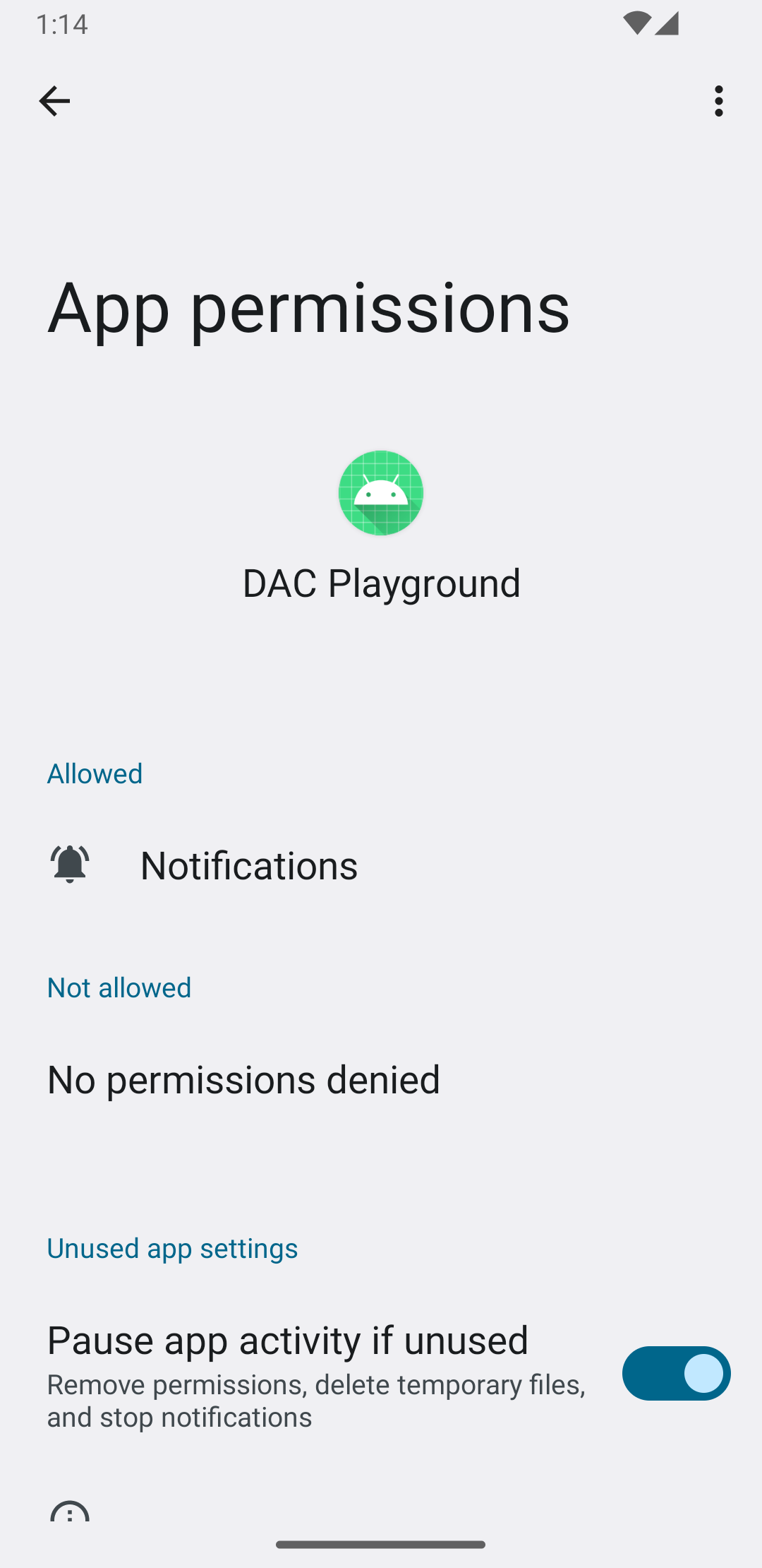 An image showing the App Info screen after granted notification permission request