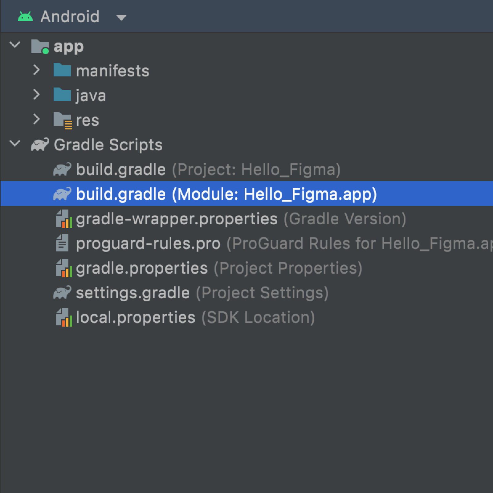 Module-level Gradle file in the Android Studio
