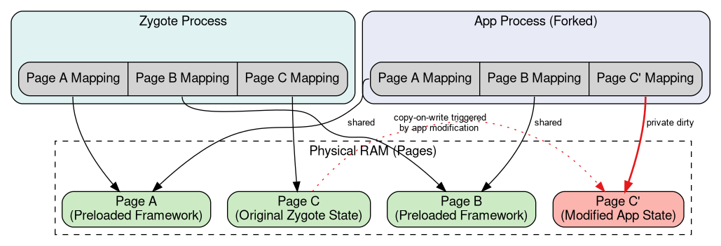 A diagram illustrating the Zygote process sharing memory pages with newly
forked child processes using Copy-on-Write semantics