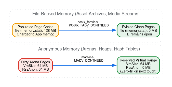 Dirty arena pages released with madvise and cached asset pages
       evicted with posix_fadvise, while the virtual range and the file
       descriptor stay intact.